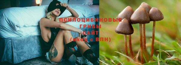 СК Вязьма