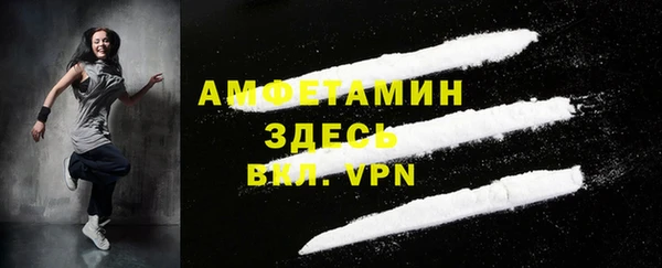 СК Вязьма