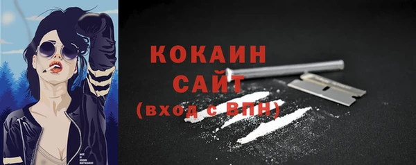ECSTASY Вяземский