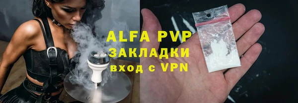 ECSTASY Вяземский