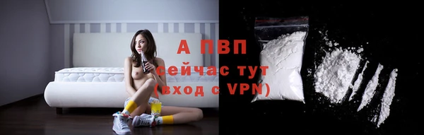 СК Вязьма