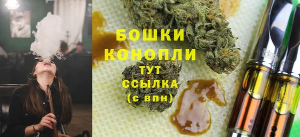 СК Вязьма