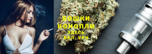 ECSTASY Вяземский