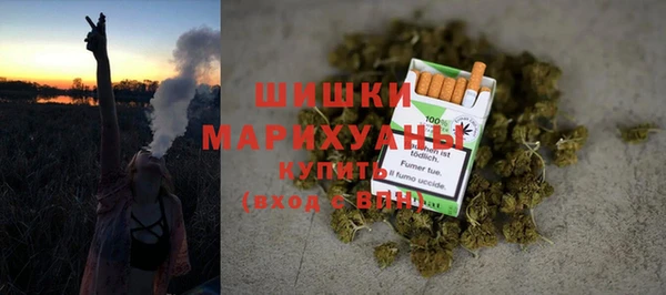ECSTASY Вяземский