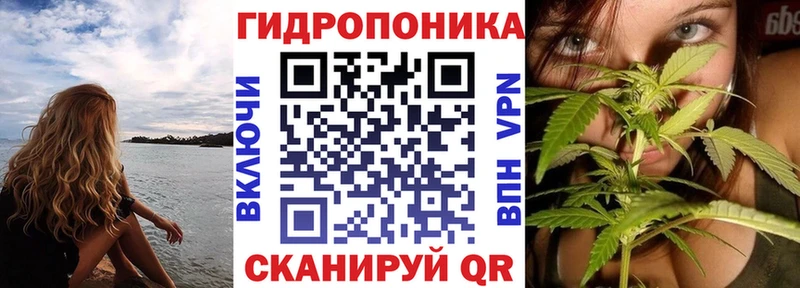 Шишки марихуана семена  Чкаловск 